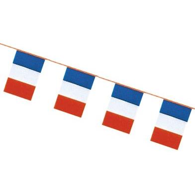 Drapeaux-Flags - France polyethylene bunting 26 flags 20x30cm