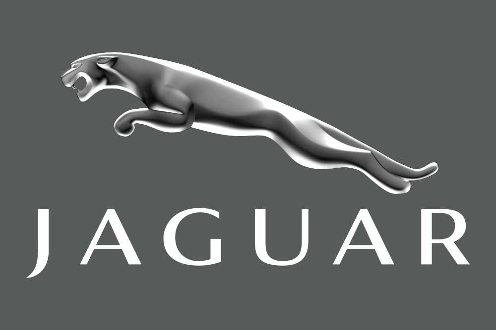Drapeaux-Flags - Jaguar