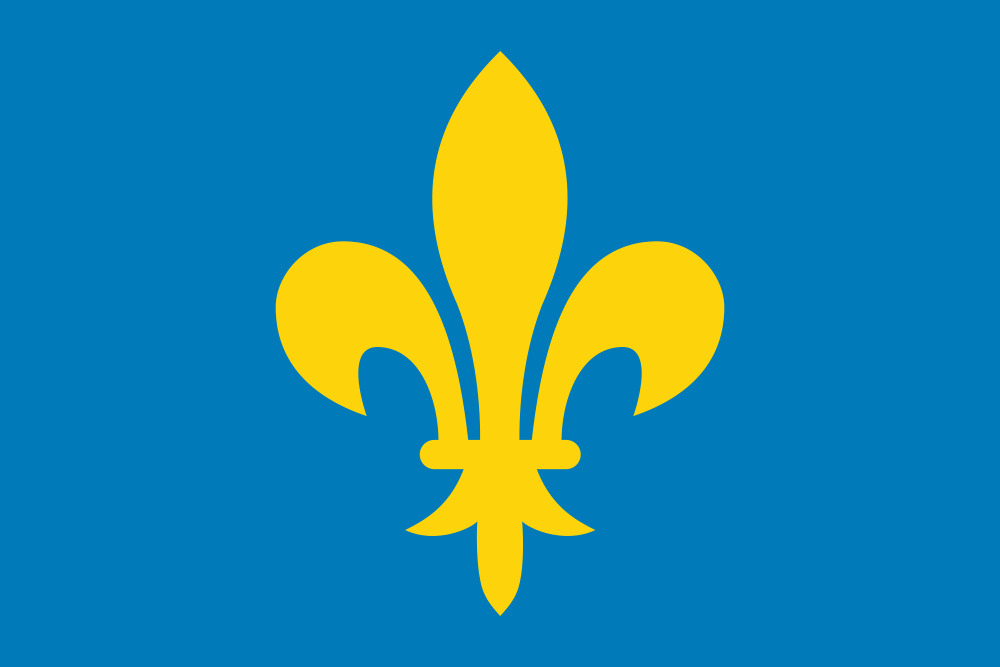 Drapeaux-Flags - Fleur de Lys
